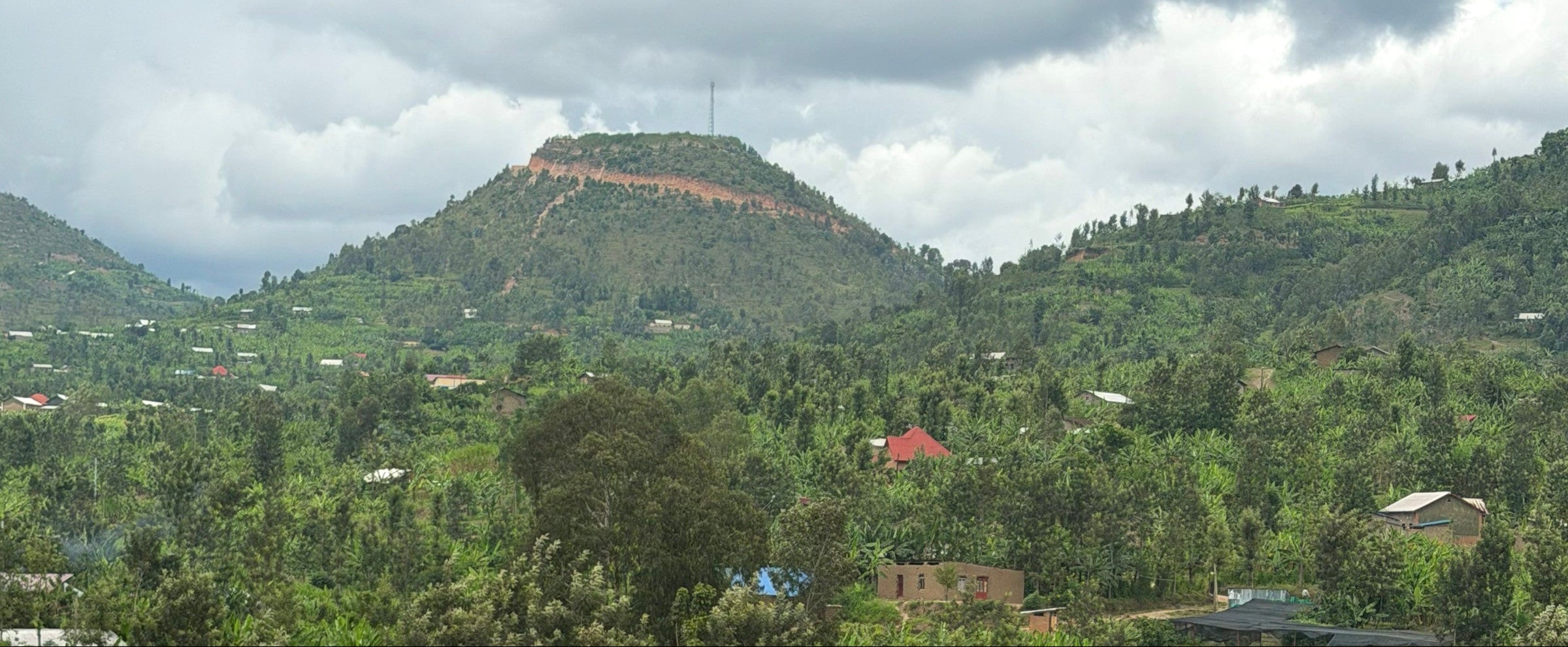 Hilly landscape with greenery - a view from a coffee farm!